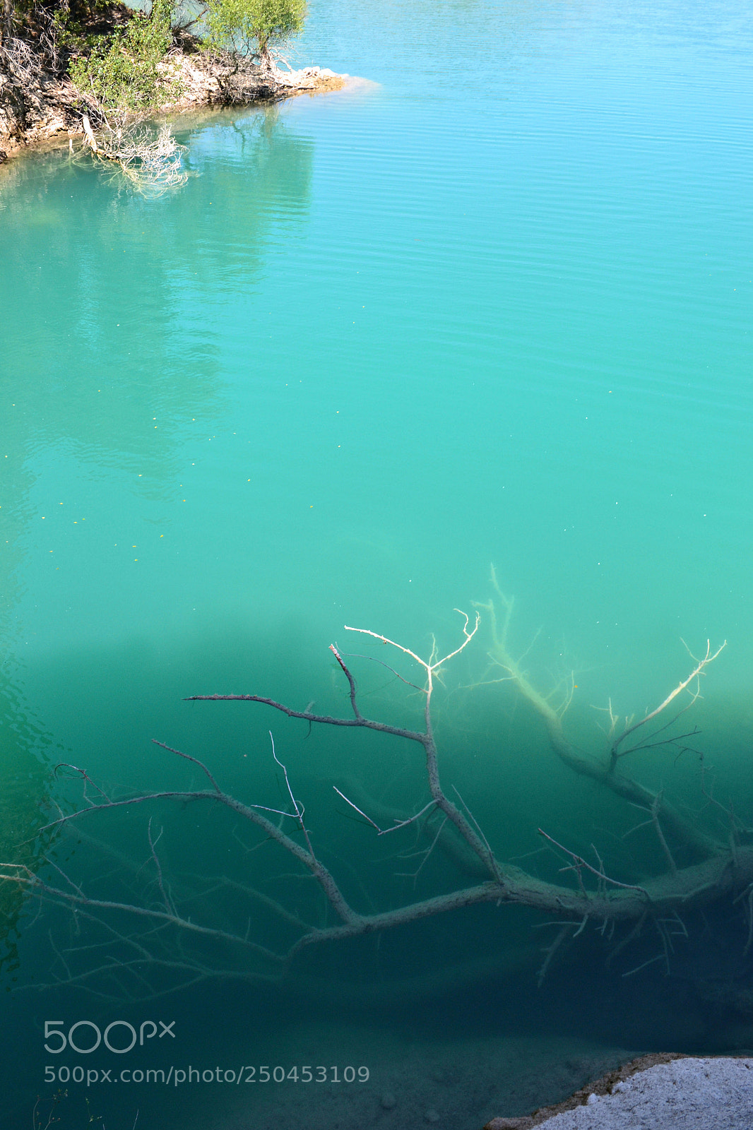 Nikon D3100 sample photo. When water becomes one photography