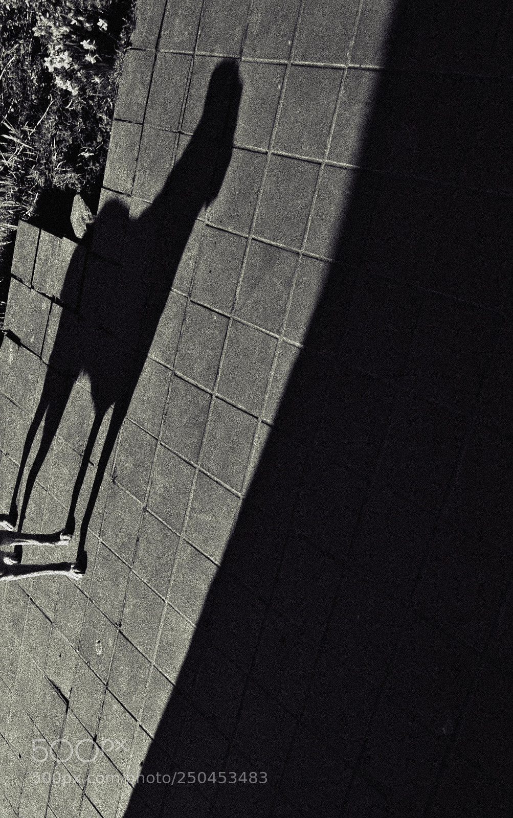 Nikon D3100 sample photo. Beware of the shadow! photography