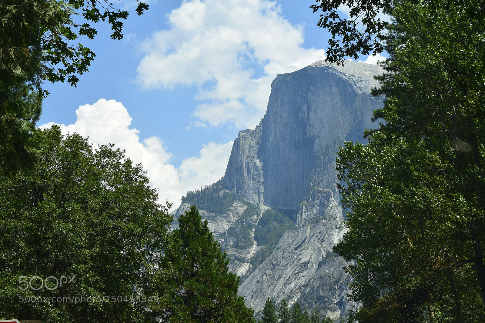 Nikon D5300 sample photo. Half dome photography