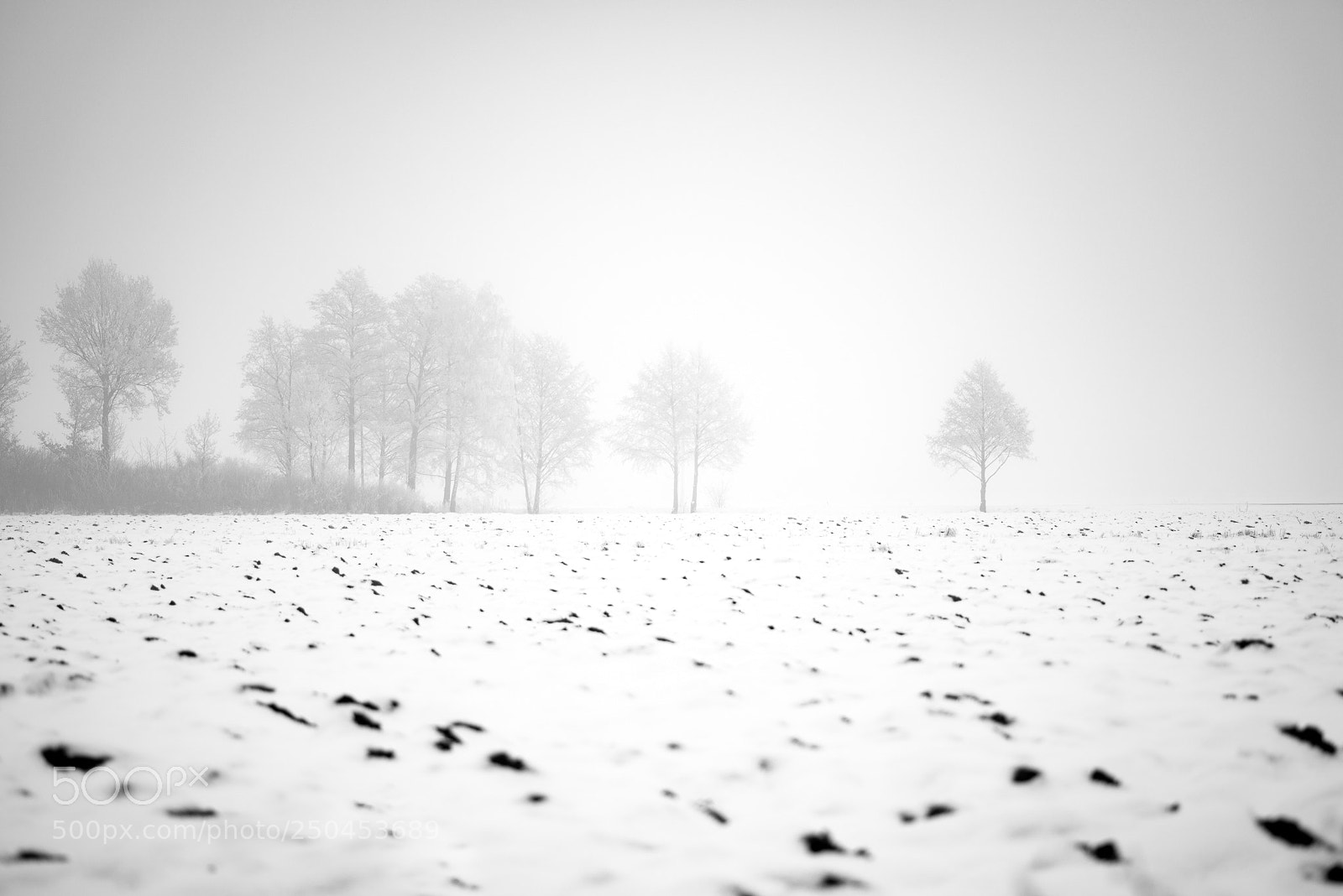 Nikon D800 sample photo. Winter in ledowo photography