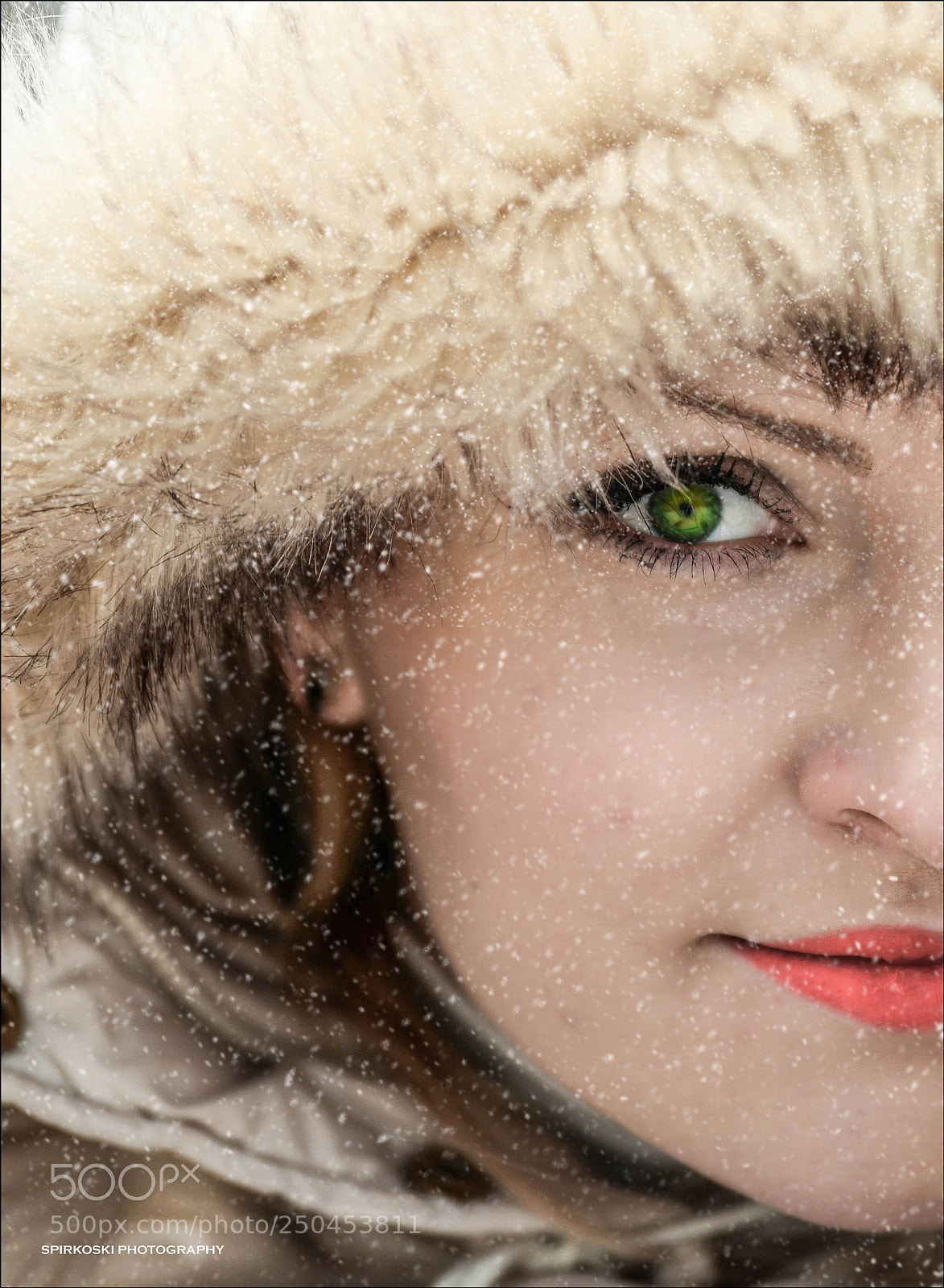 Nikon D610 sample photo. The power of green photography