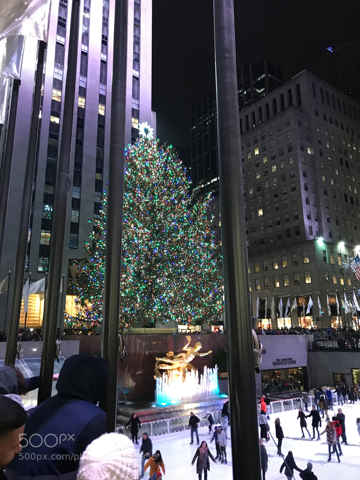 Apple iPhone 7 Plus sample photo. Img photography