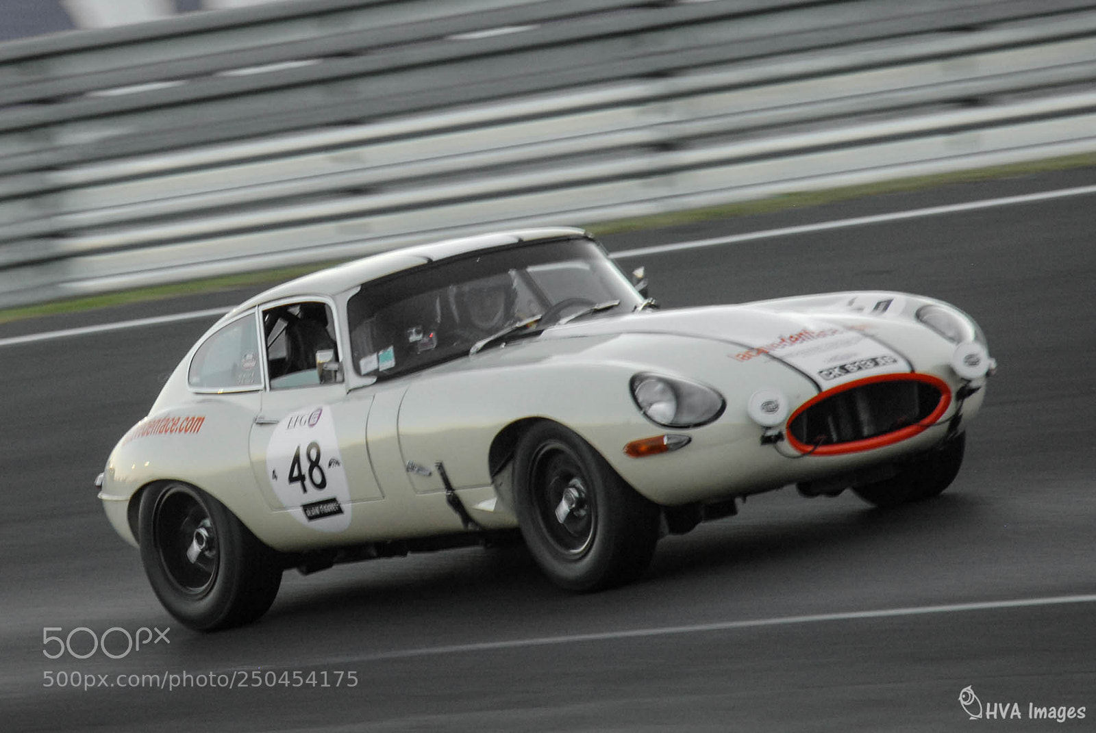 Nikon D200 sample photo. Jagaur e-type at le photography