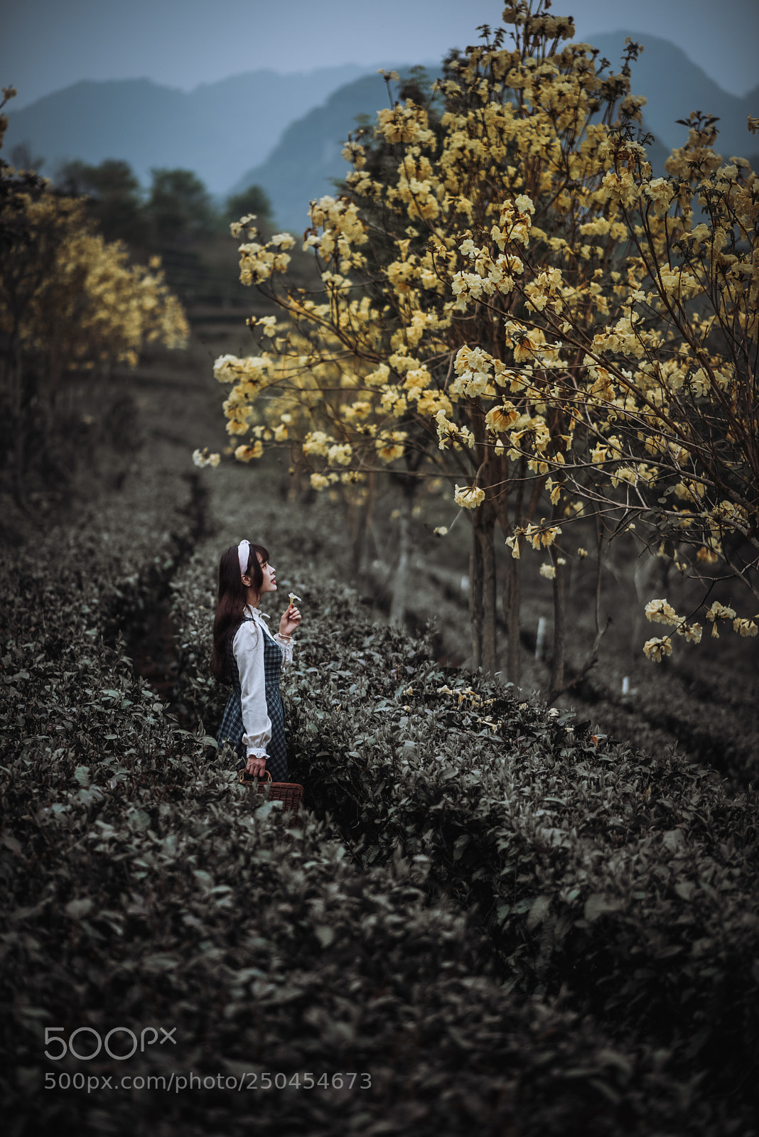 Nikon D810 sample photo. Untitled photography