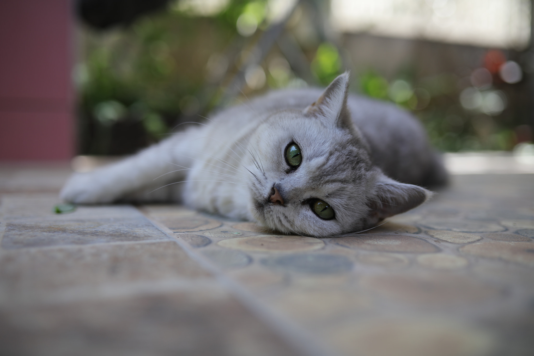 Sigma 35mm F1.4 DG HSM Art sample photo. *** photography