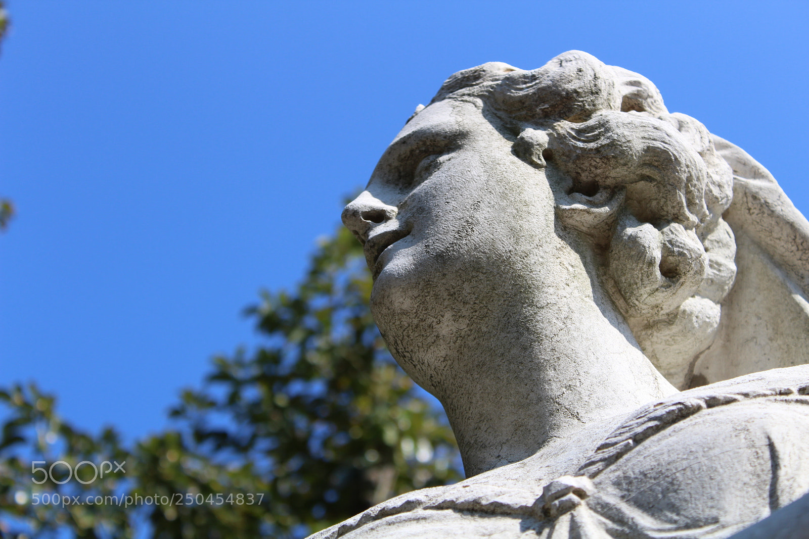 Canon EOS 1300D (EOS Rebel T6 / EOS Kiss X80) sample photo. Statua marmorea... photography