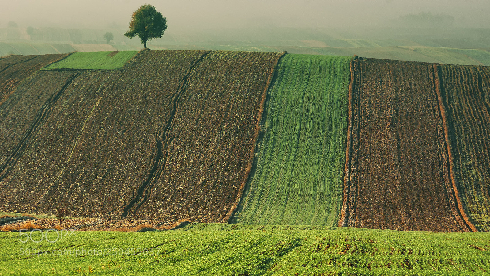 Pentax K200D sample photo. Horizon over land photography