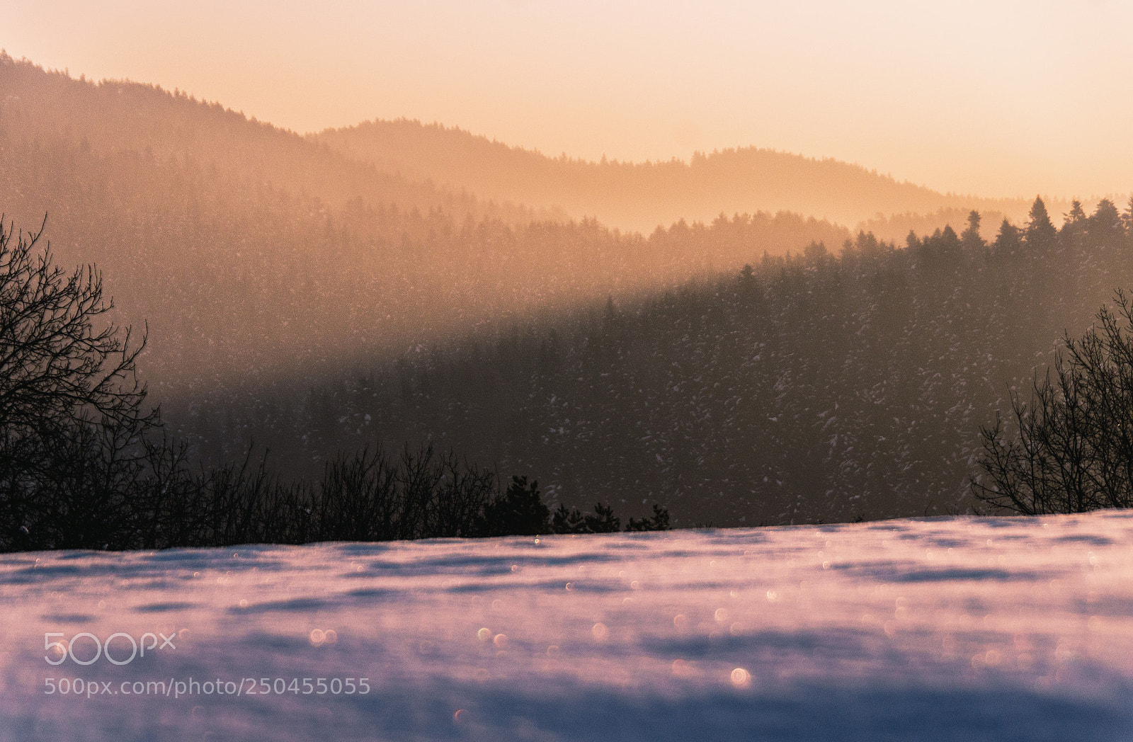 Nikon D7000 sample photo. Frosty sunrise photography