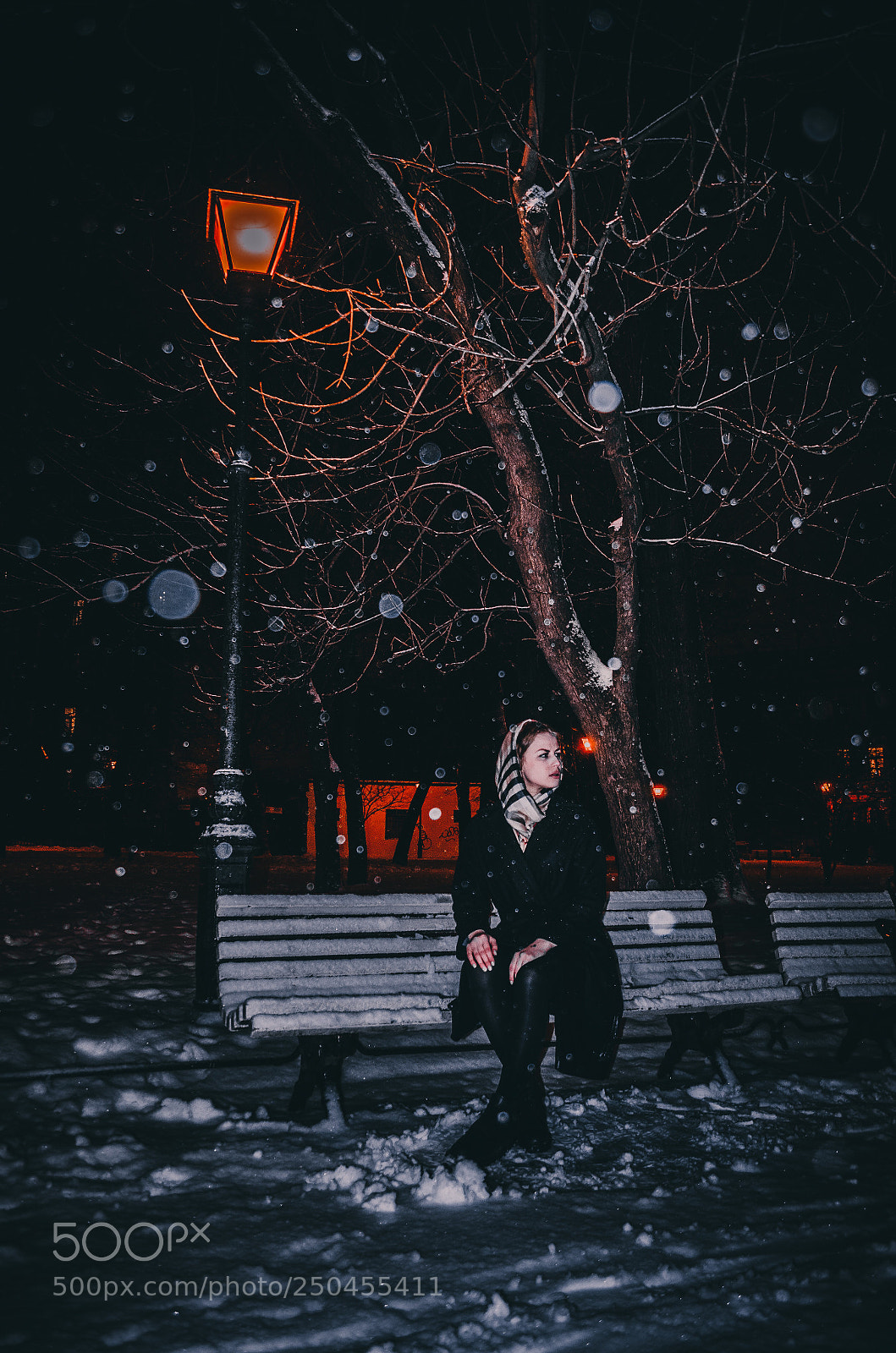 Nikon D5100 sample photo. Wintertime. photography