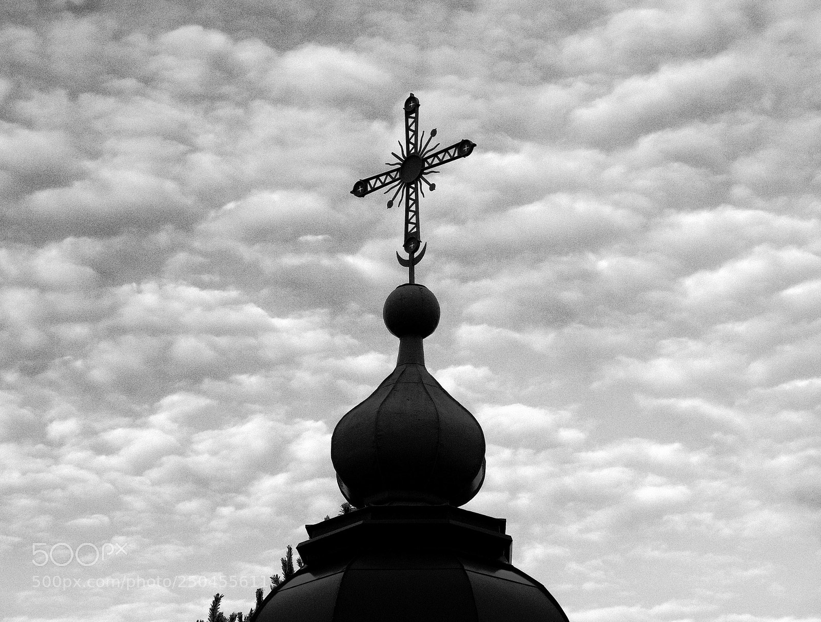 Fujifilm X20 sample photo. На фоне неба against the sky photography