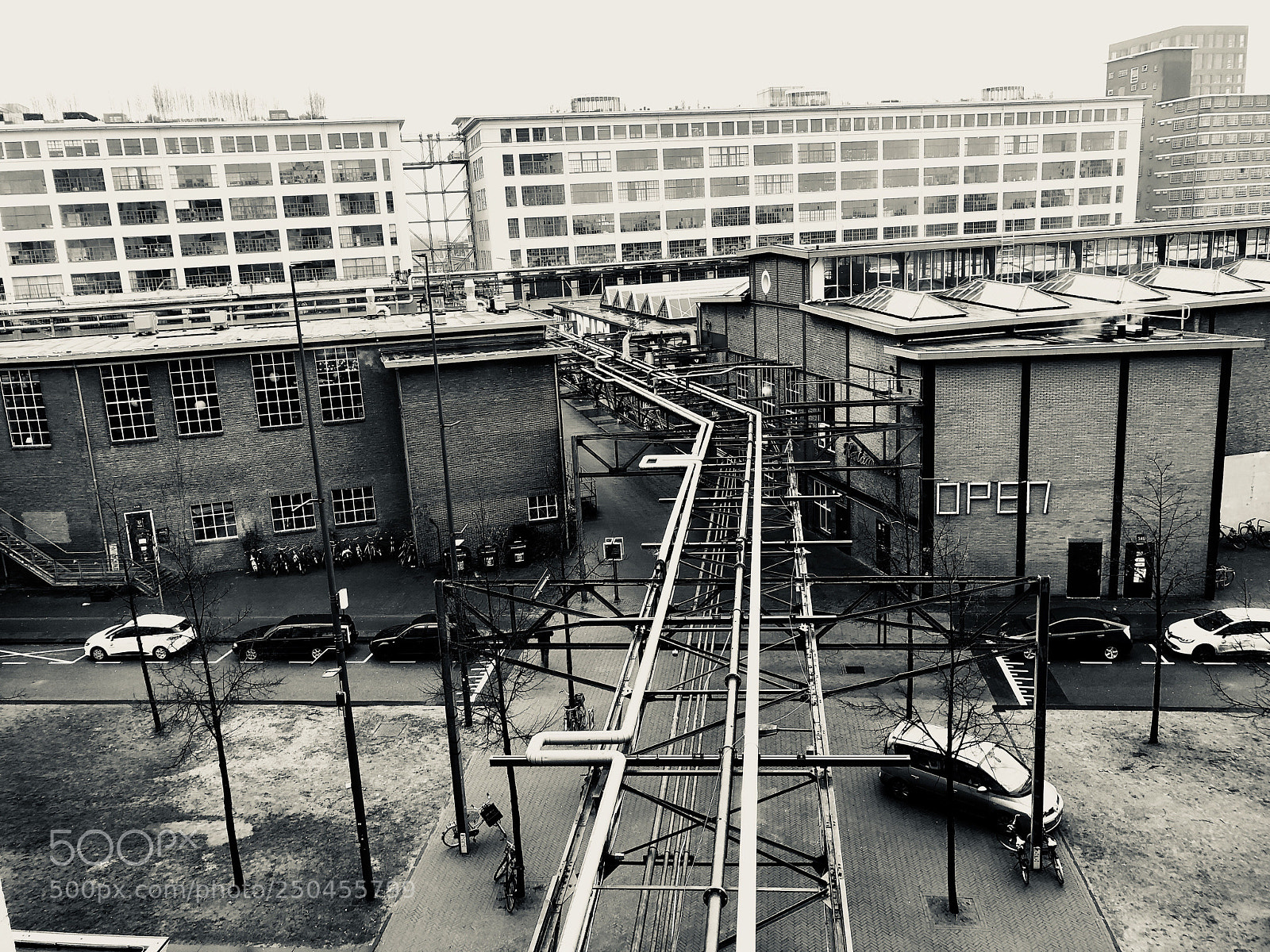 Apple iPhone 8 Plus sample photo. Untitled photography