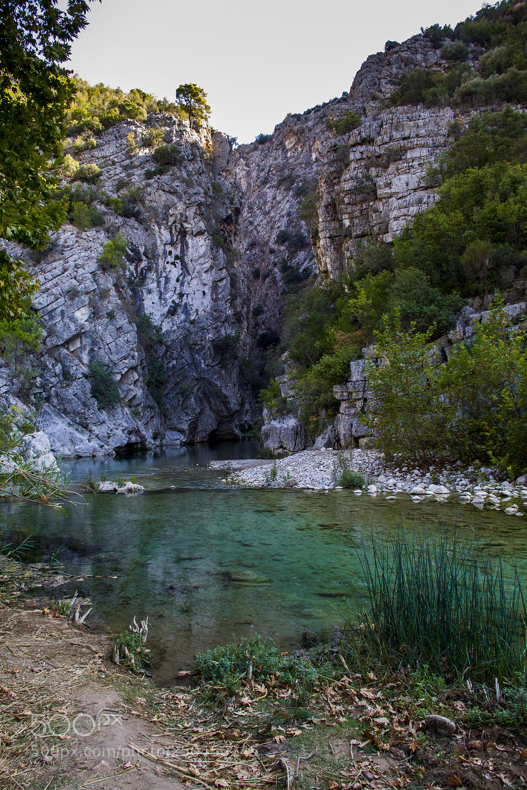 Canon EOS 60D sample photo. Mysterious mountainous jungle with photography