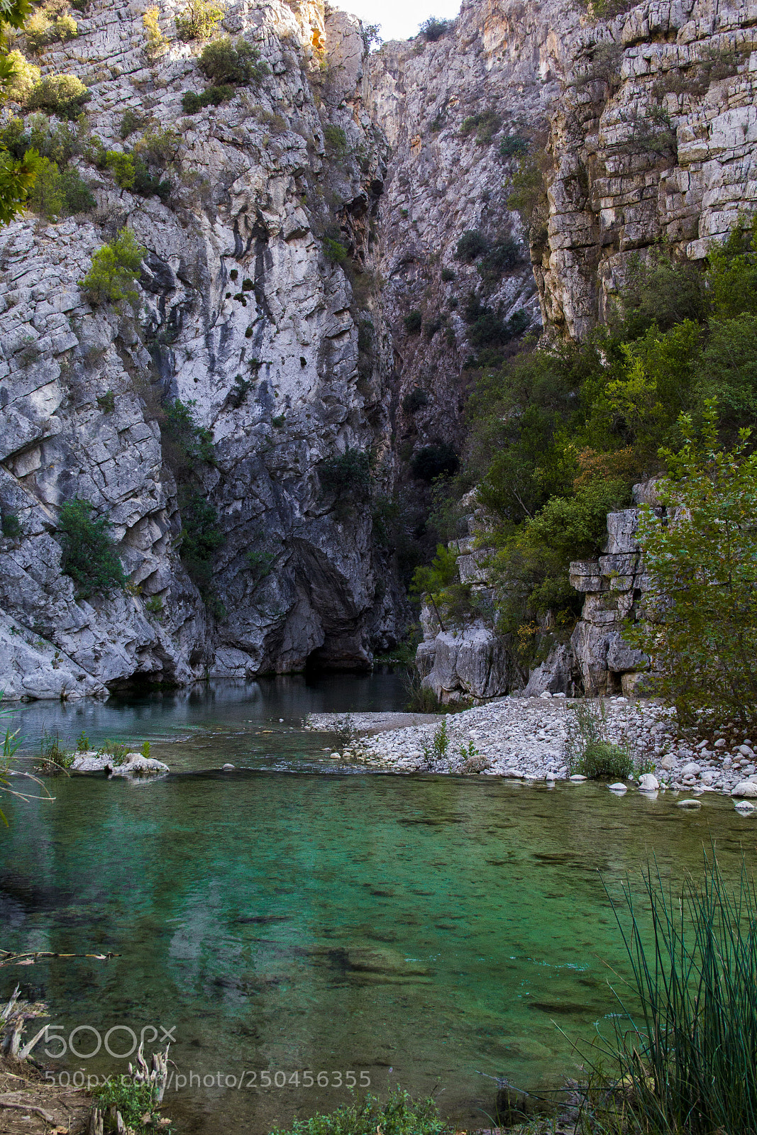 Canon EOS 60D sample photo. Mysterious mountainous jungle with photography