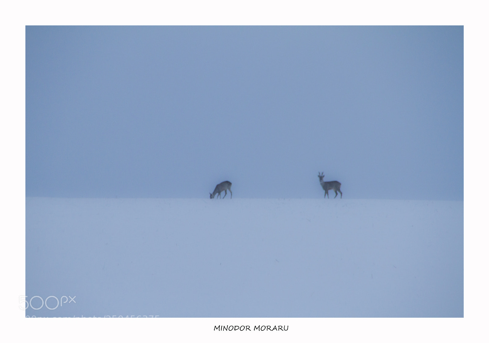 Canon EOS 7D sample photo. Blue hour in the photography