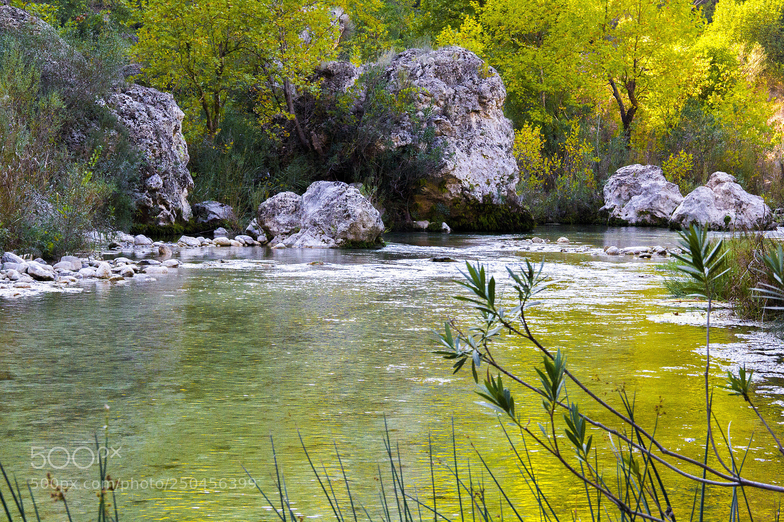 Canon EOS 60D sample photo. Mysterious mountainous jungle with photography