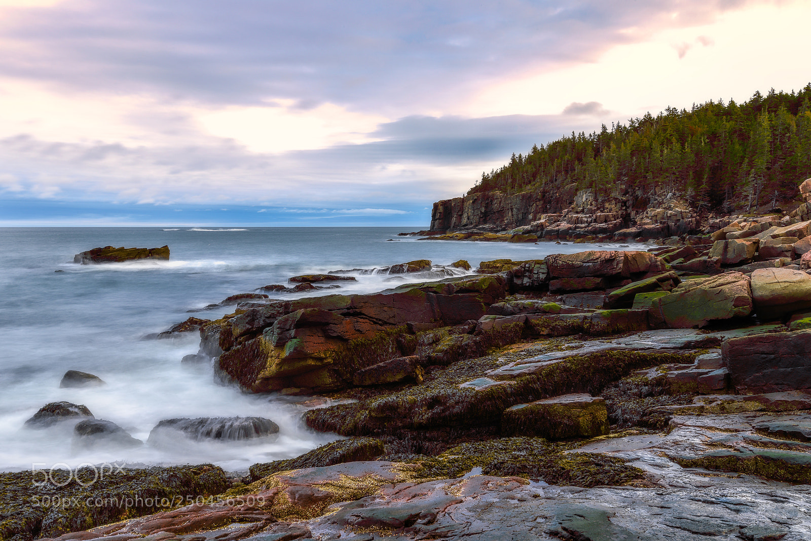 Nikon D810 sample photo. Rocky beach photography
