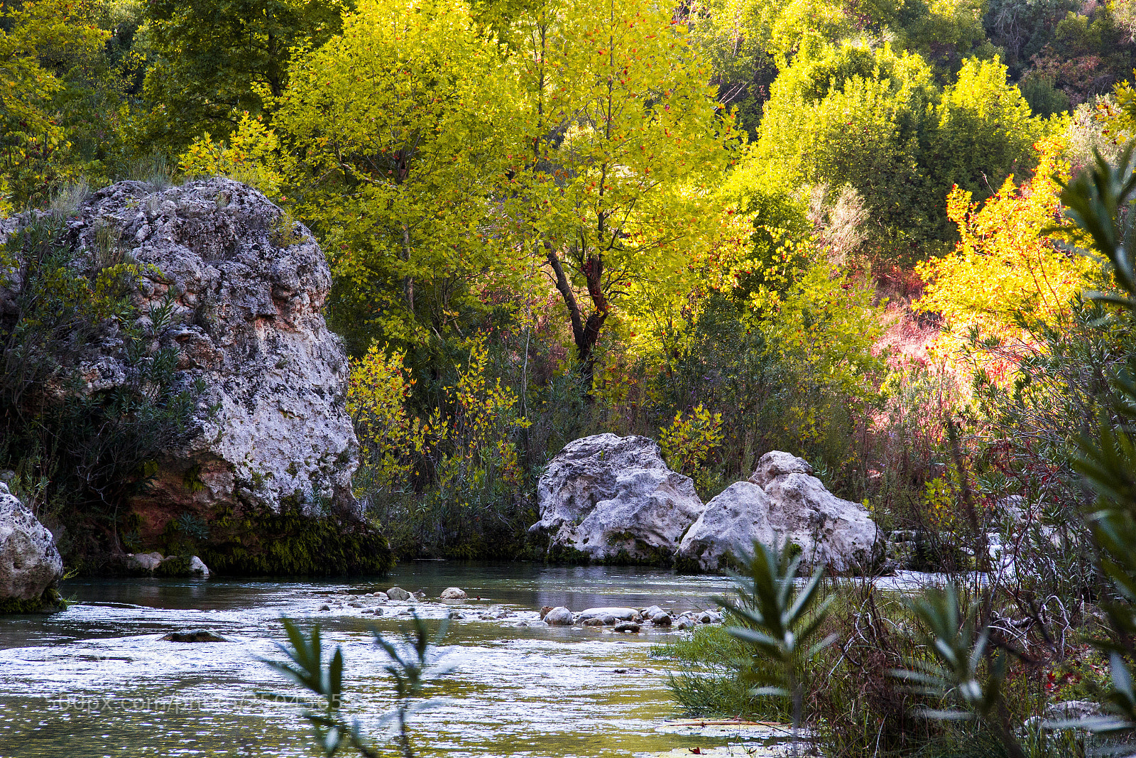 Canon EOS 60D sample photo. Mysterious mountainous jungle with photography