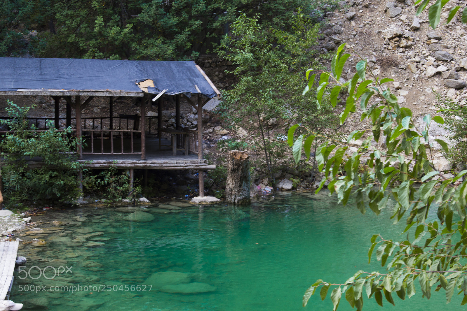 Canon EOS 60D sample photo. Mysterious mountainous jungle with photography
