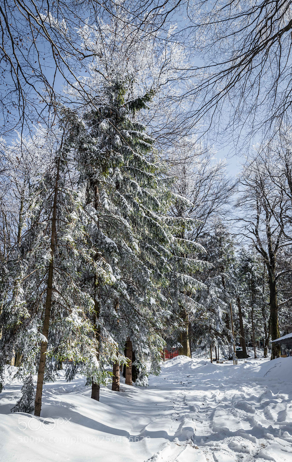 Canon EOS 6D Mark II sample photo. Kékestető photography