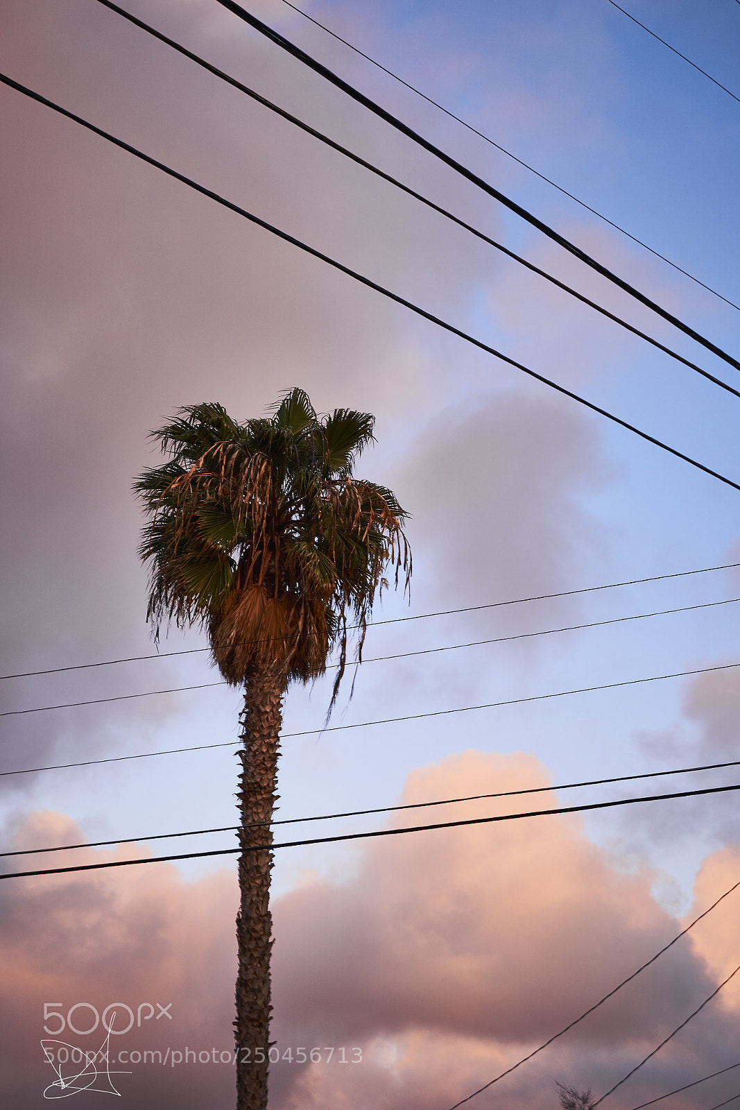 Sony a7R III sample photo. Cloud 9 photography