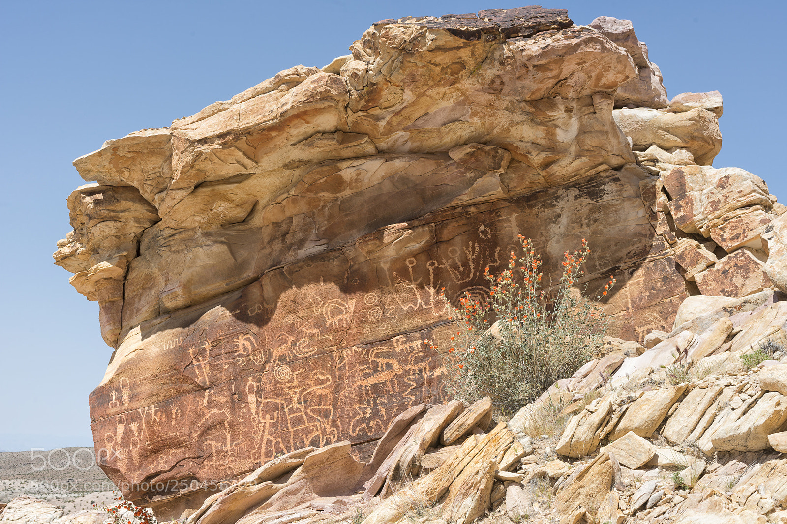 Nikon D800 sample photo. Newspaper rock photography