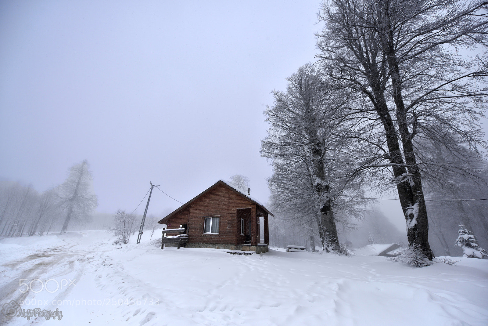 Nikon D810 sample photo. Snow scene photography