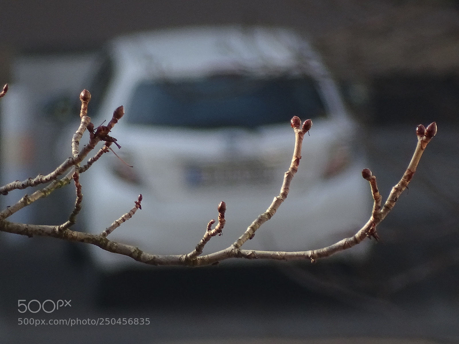 Sony Cyber-shot DSC-HX400V sample photo. Spring in the starting photography