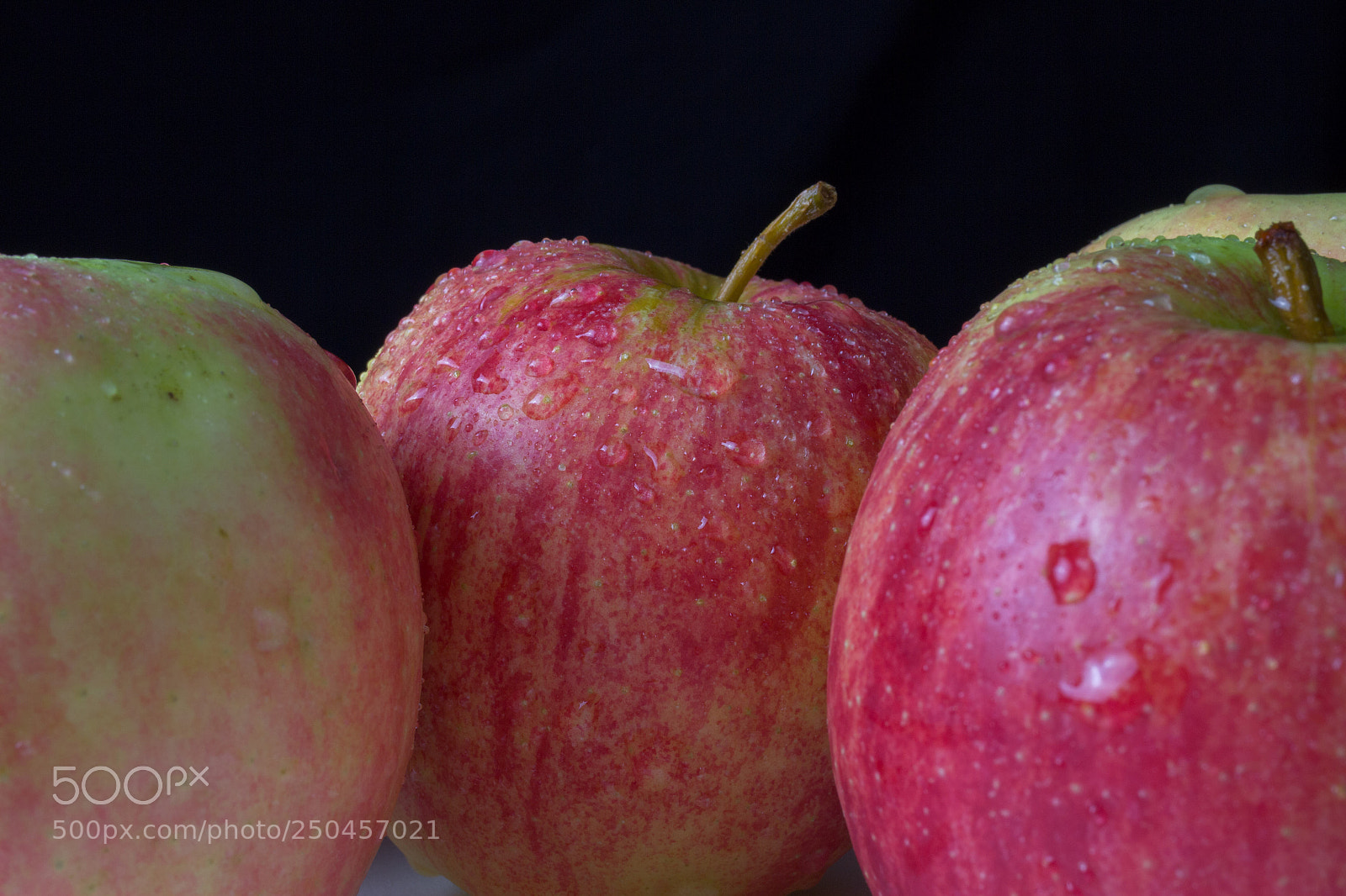 Canon EOS 600D (Rebel EOS T3i / EOS Kiss X5) sample photo. яблочки/apples photography
