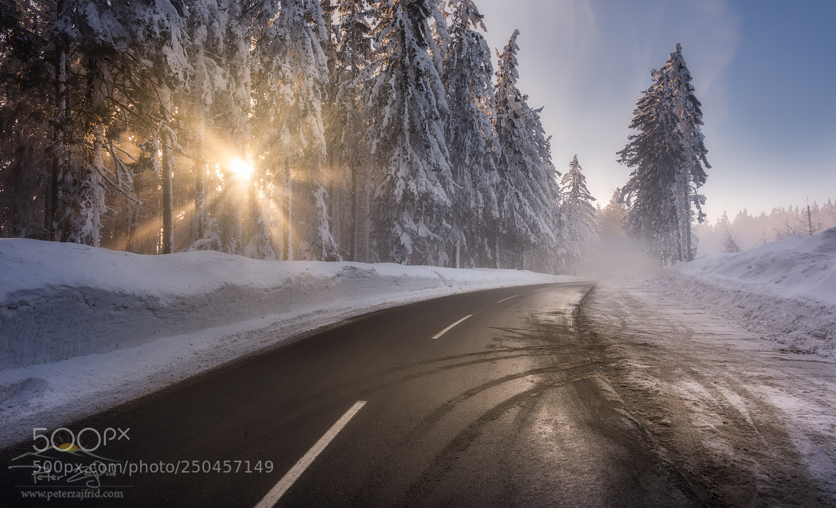 Nikon D810 sample photo. Sunburst photography