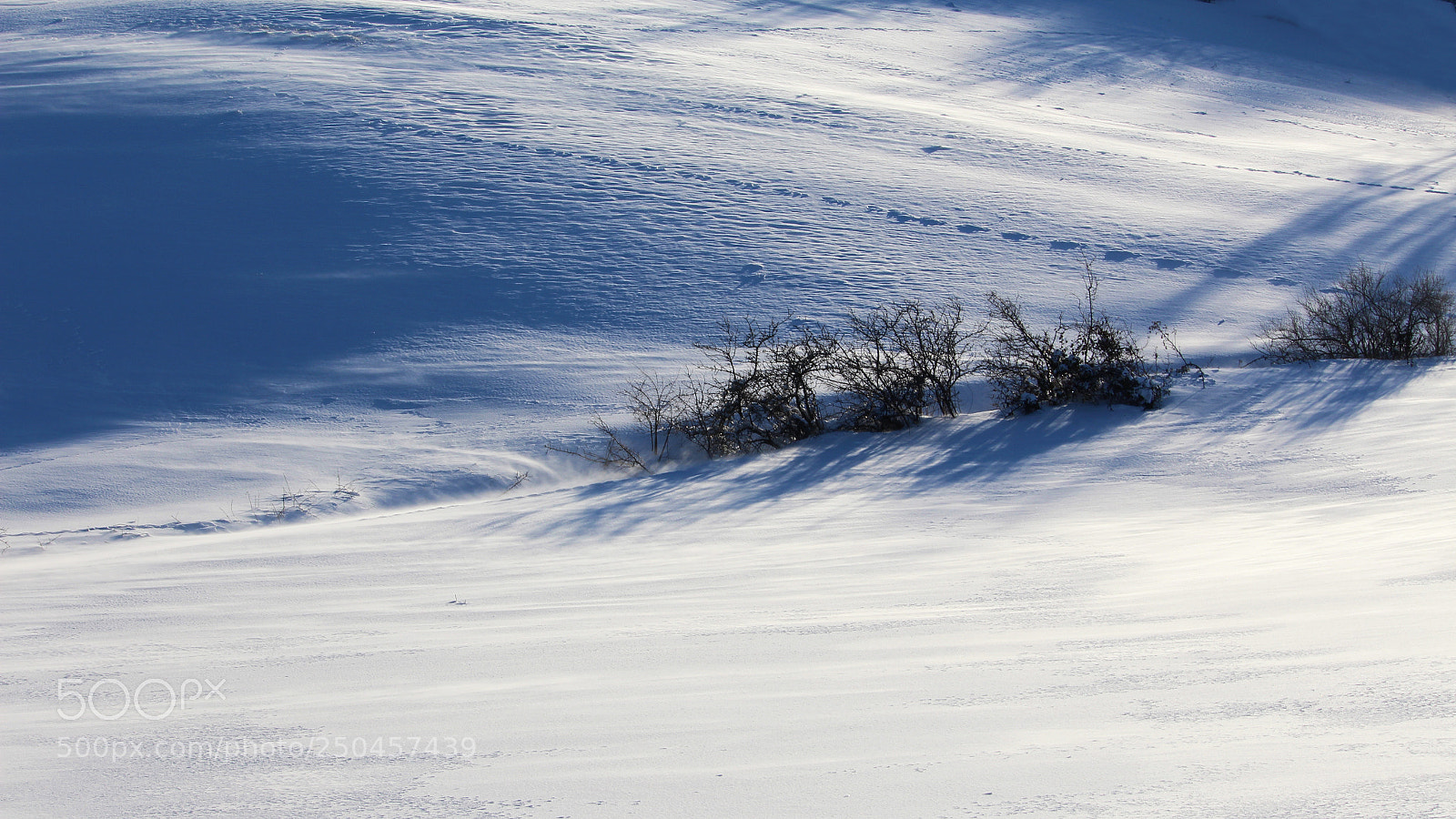 Canon EOS 1200D (EOS Rebel T5 / EOS Kiss X70 / EOS Hi) sample photo. White dunes photography
