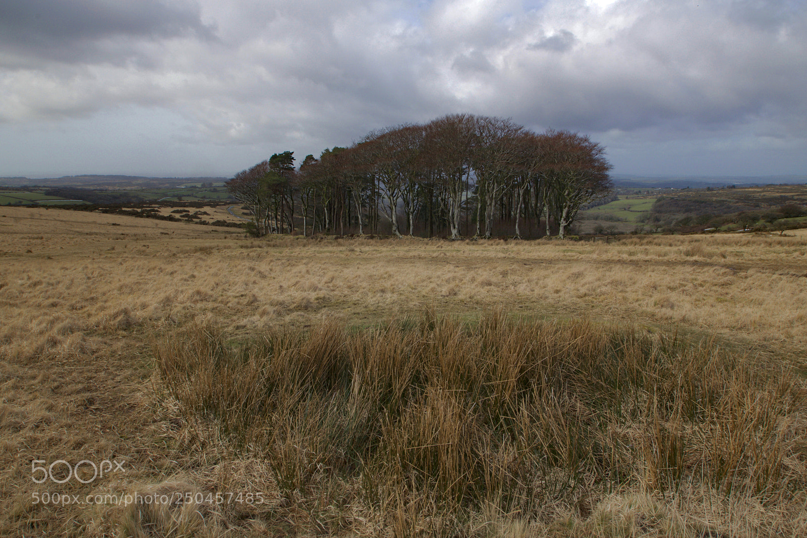 Nikon D3300 sample photo. Beneath a sullen sky photography