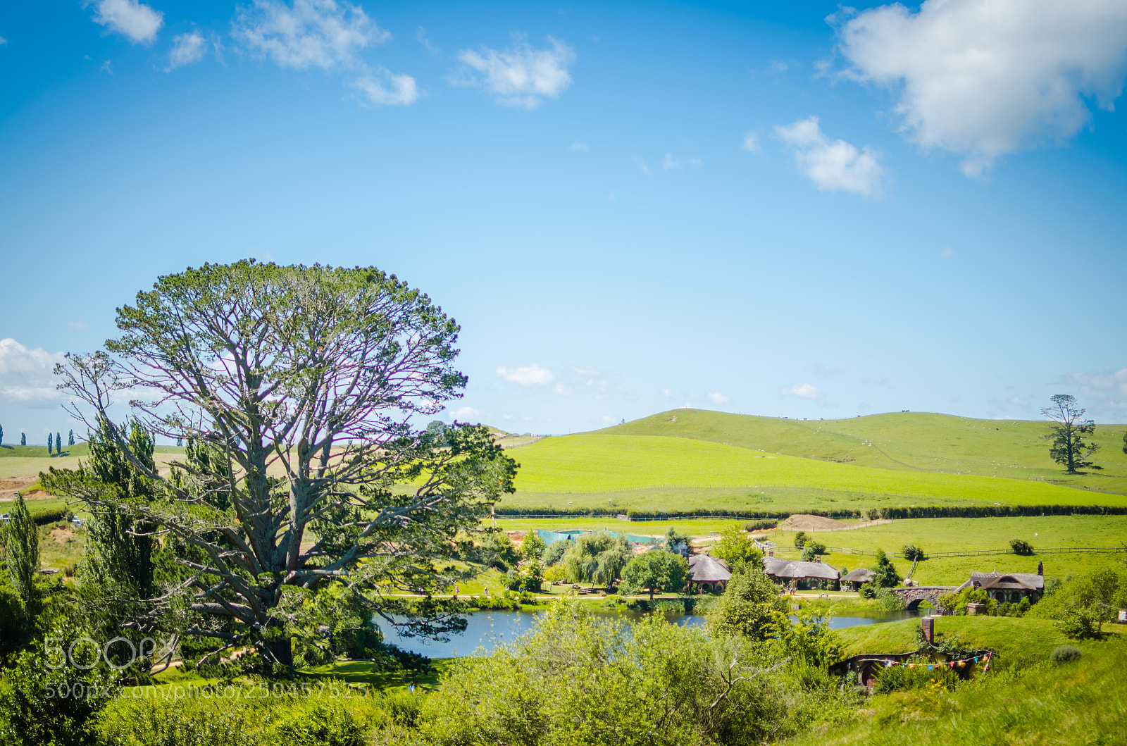 Nikon D7000 sample photo. The shire photography