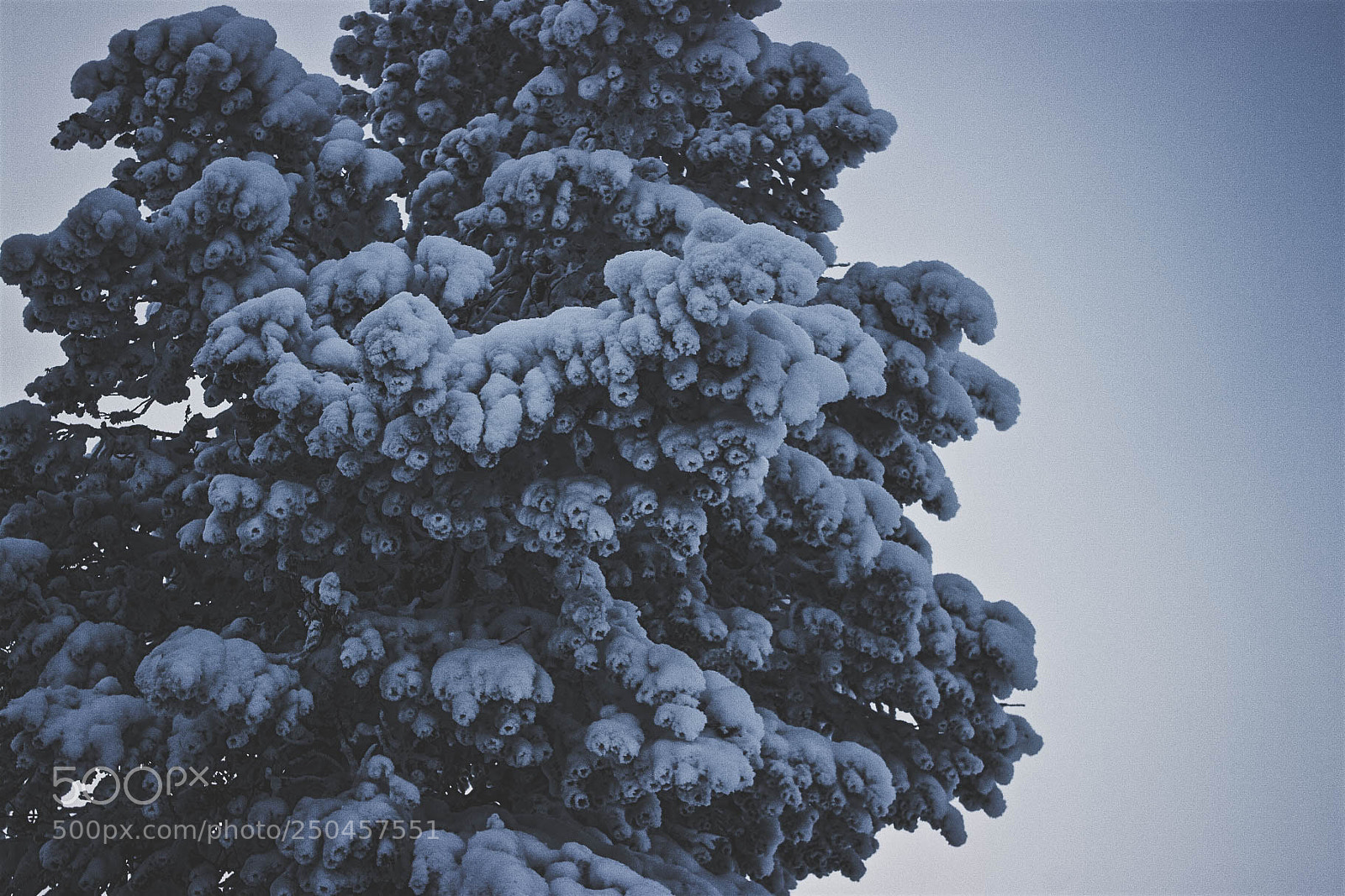 Pentax K20D sample photo. Untitled photography