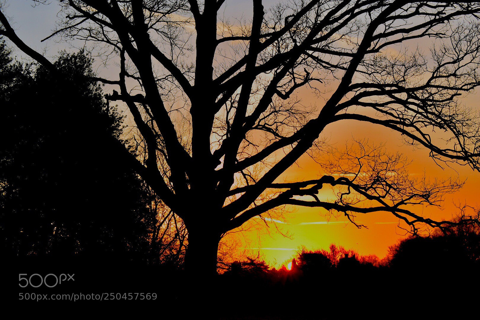 Nikon D3400 sample photo. Sunrise at sutton park  photography