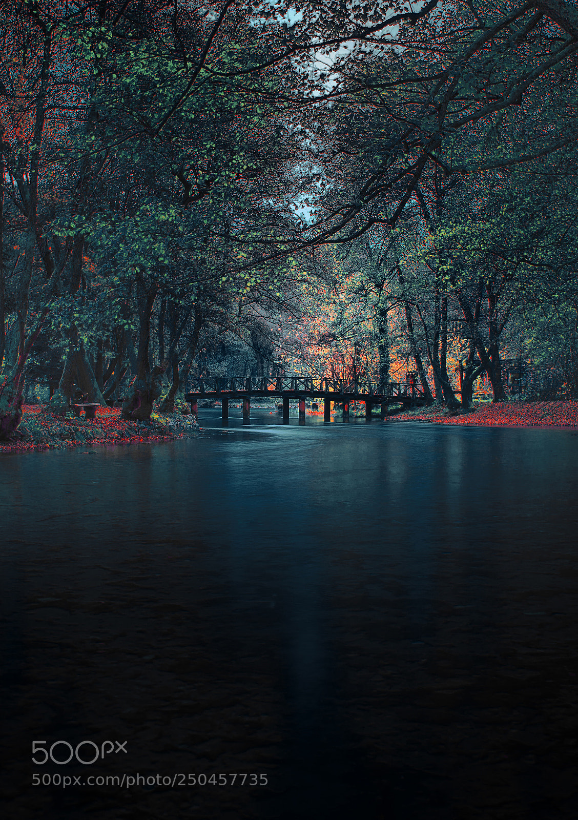 Nikon D610 sample photo. Wooden bridge photography