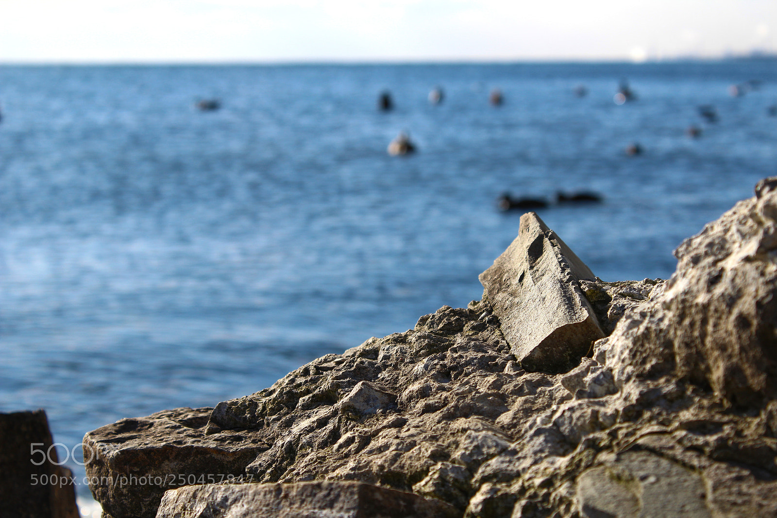 Canon EOS 1200D (EOS Rebel T5 / EOS Kiss X70 / EOS Hi) sample photo. Rocky shore photography