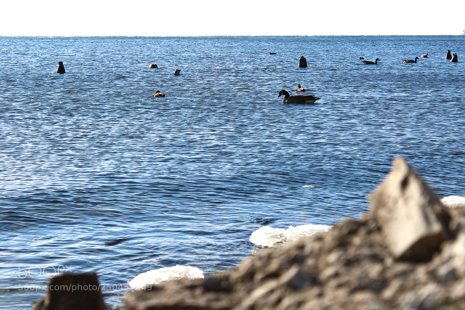 Canon EOS 1200D (EOS Rebel T5 / EOS Kiss X70 / EOS Hi) sample photo. Rocky shore photography