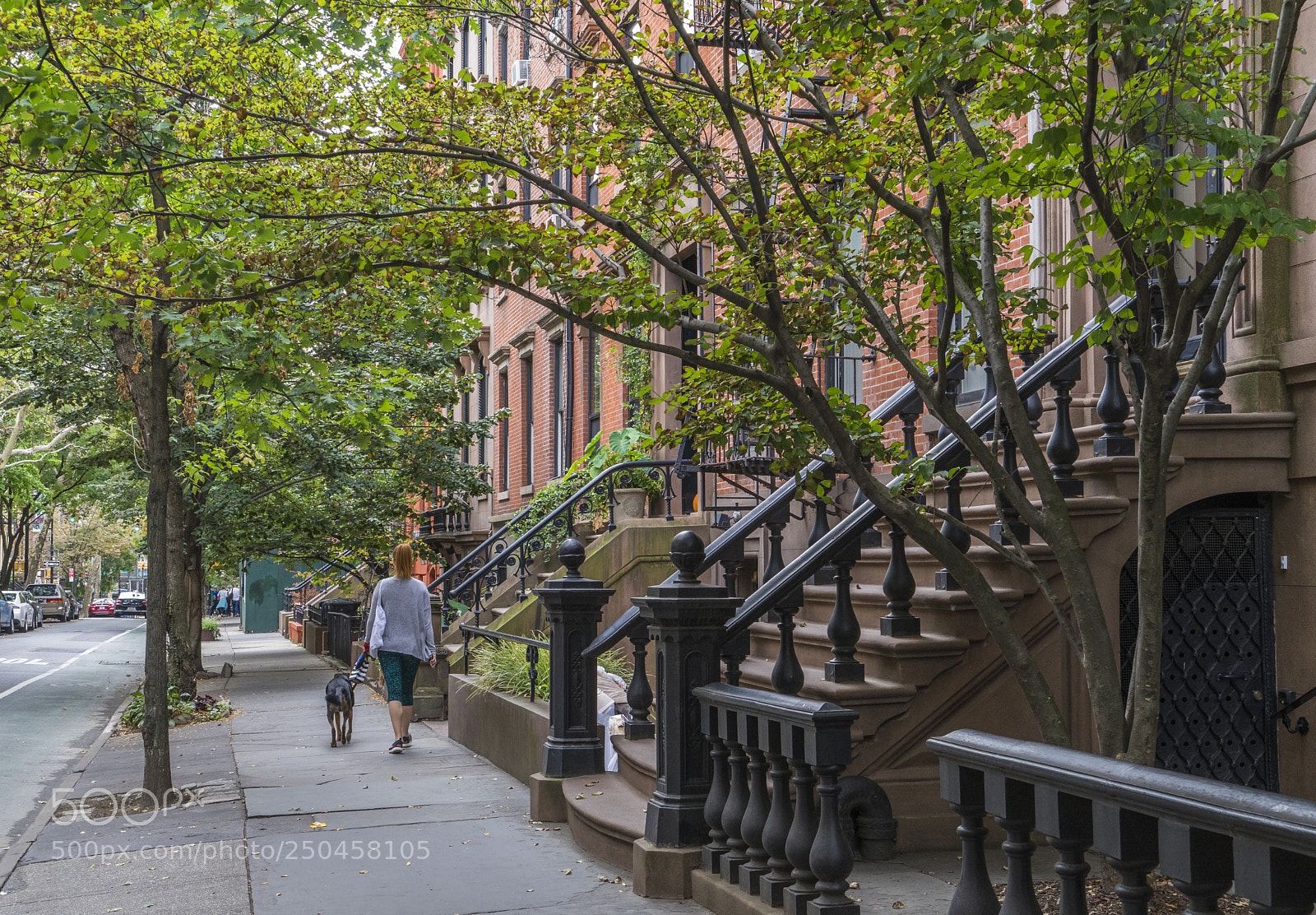 Sony a7 II sample photo. Brooklyn street new york photography