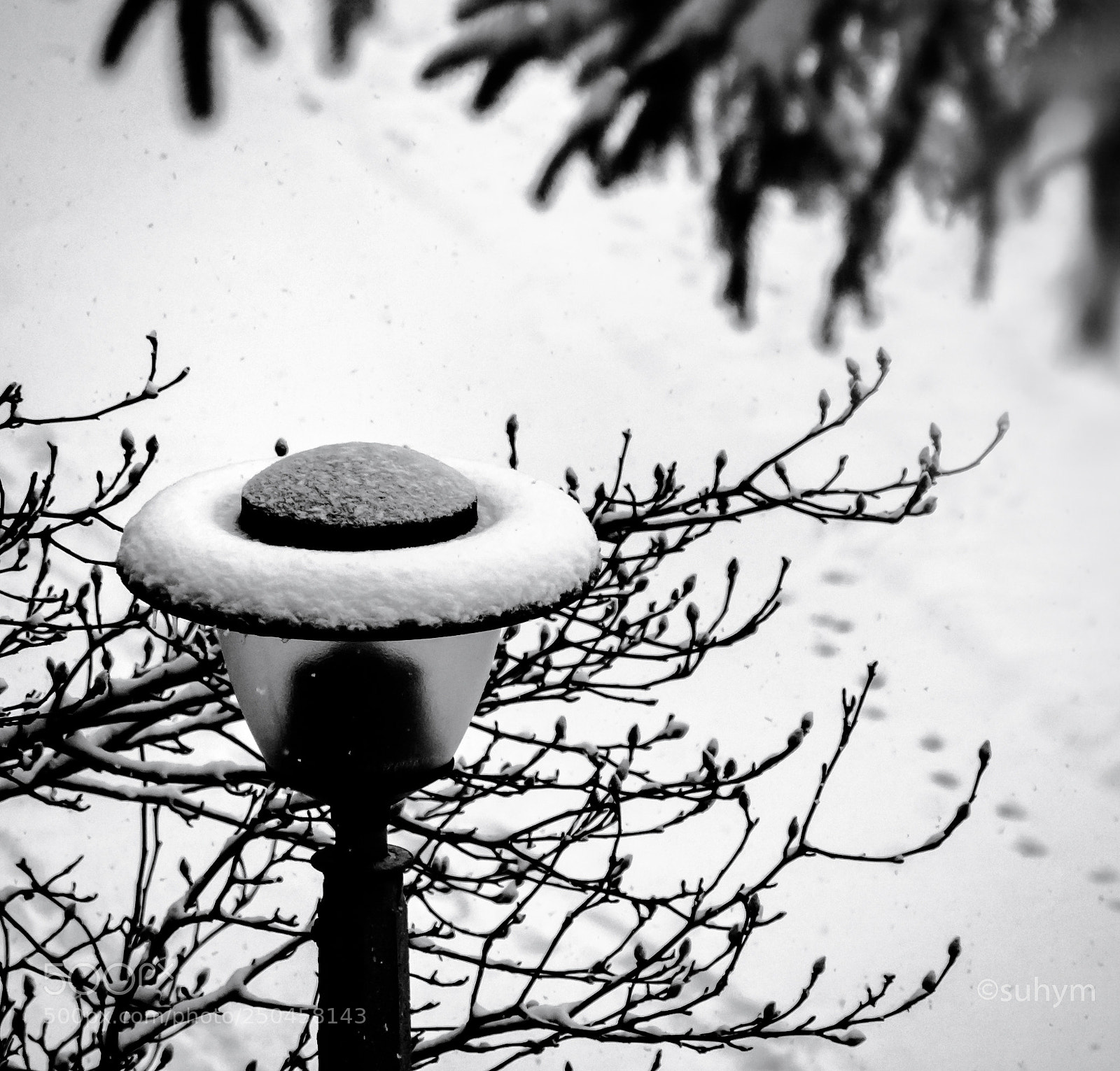 Nikon D40 sample photo. B&w photography