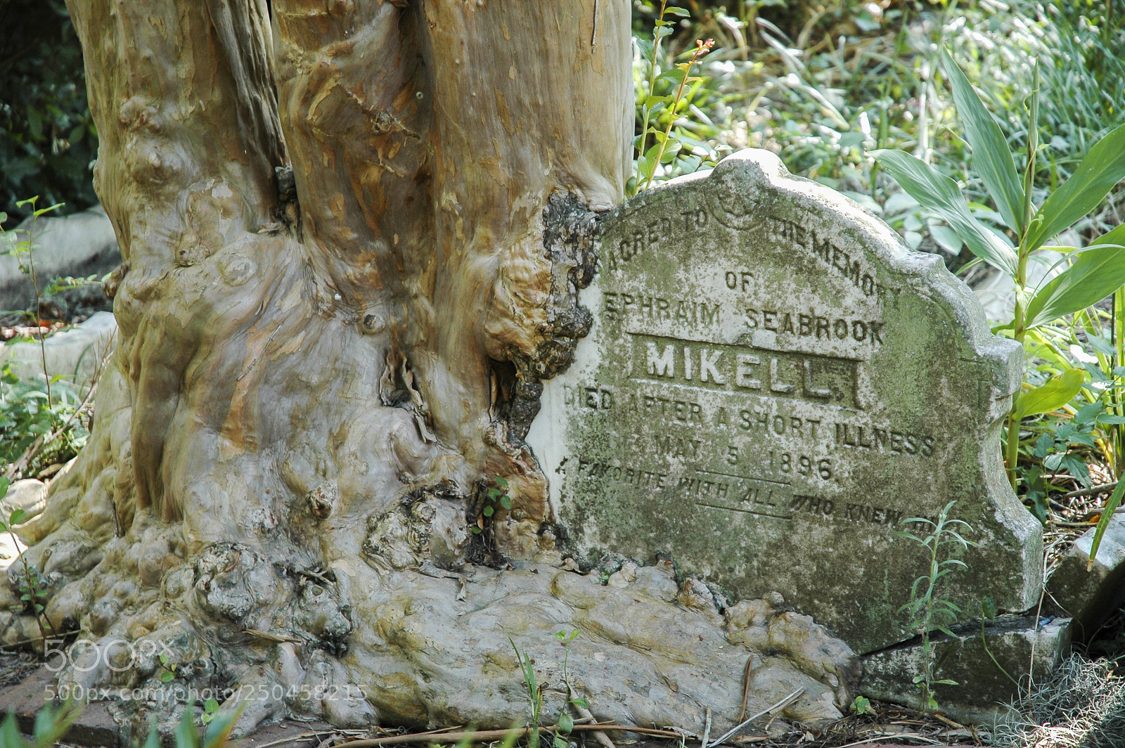 Nikon D70 sample photo. Old grave stone in photography