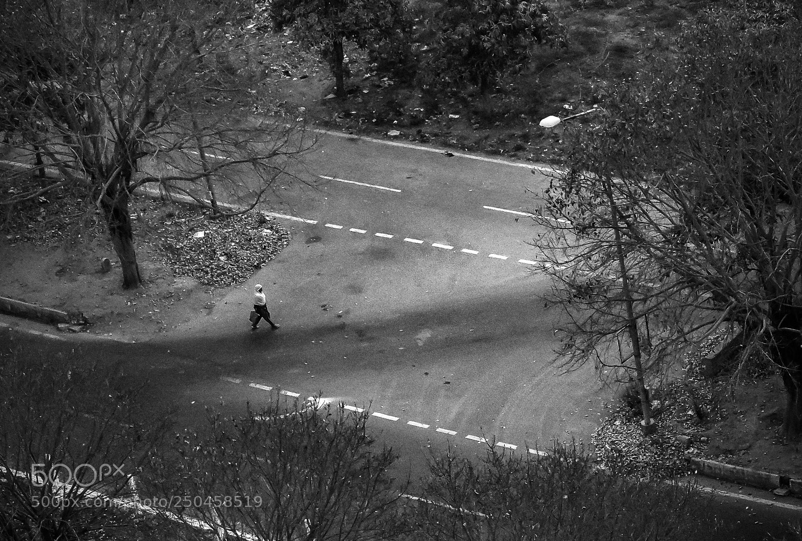 Canon EOS 600D (Rebel EOS T3i / EOS Kiss X5) sample photo. A lonely walk photography