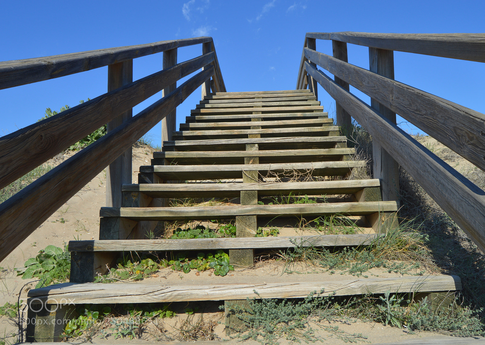 Nikon D3200 sample photo. Stairway to heaven photography
