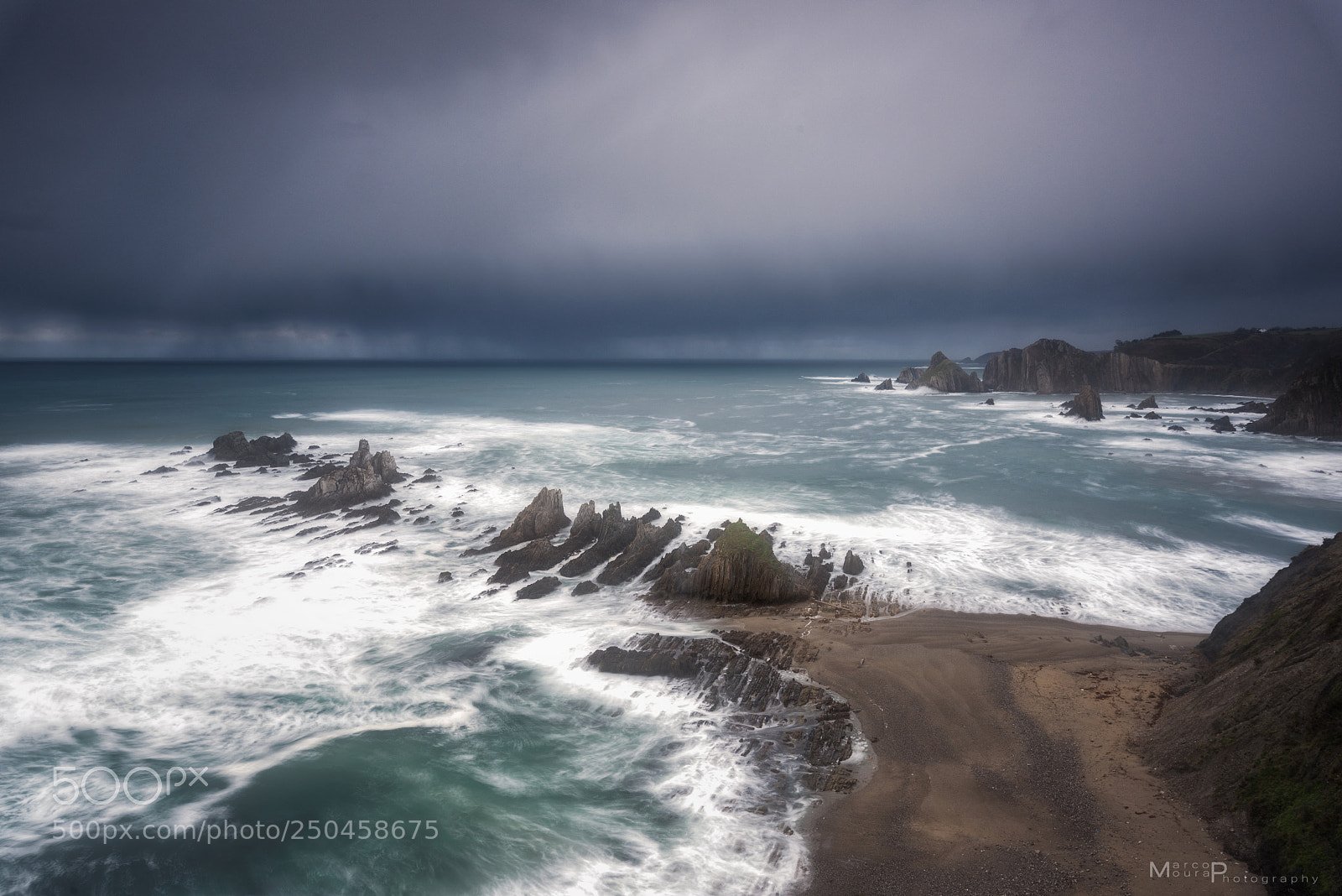Nikon D810 sample photo. Sauvage gueirua photography