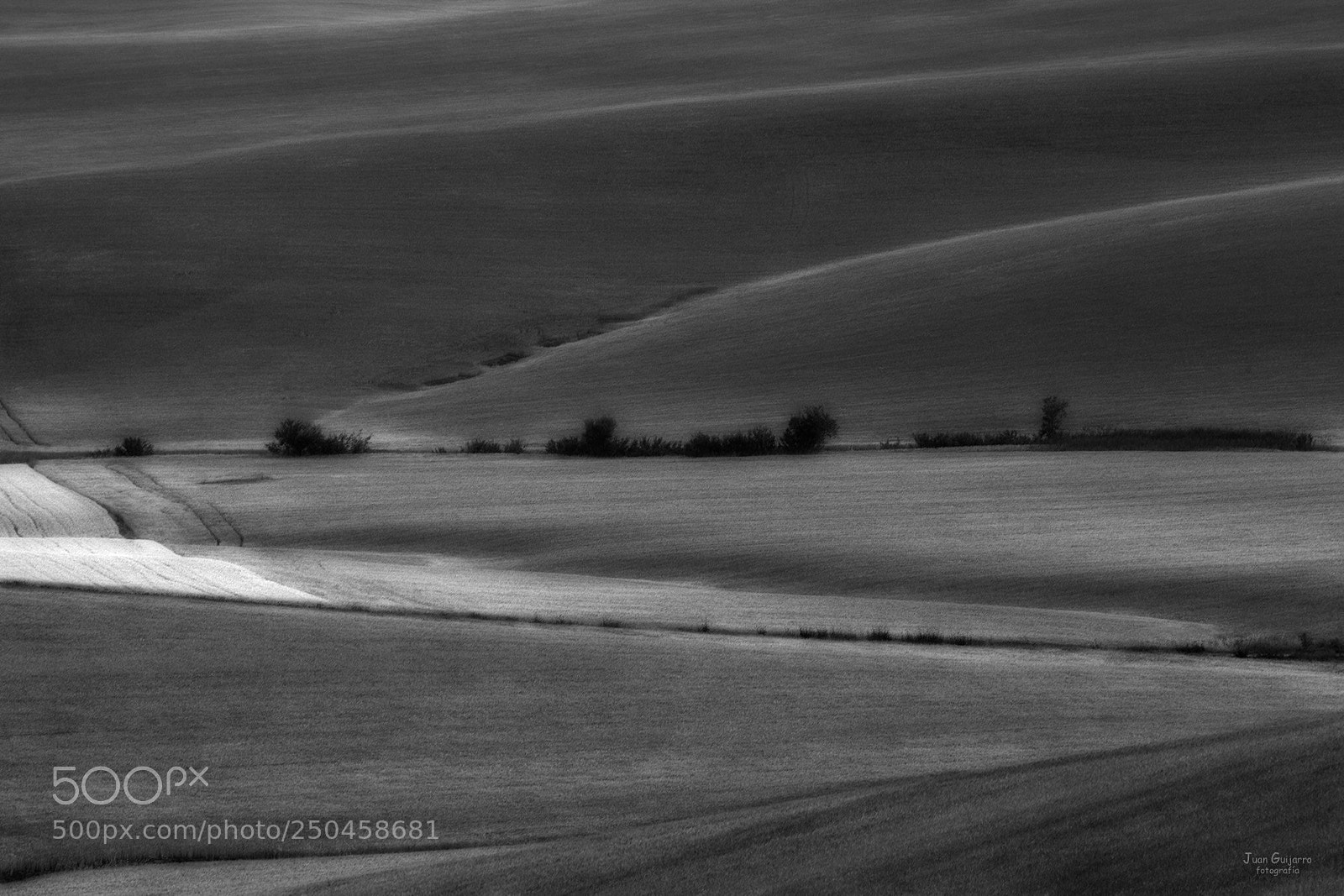 Canon EOS 5D Mark II sample photo. Campiña 2017 photography