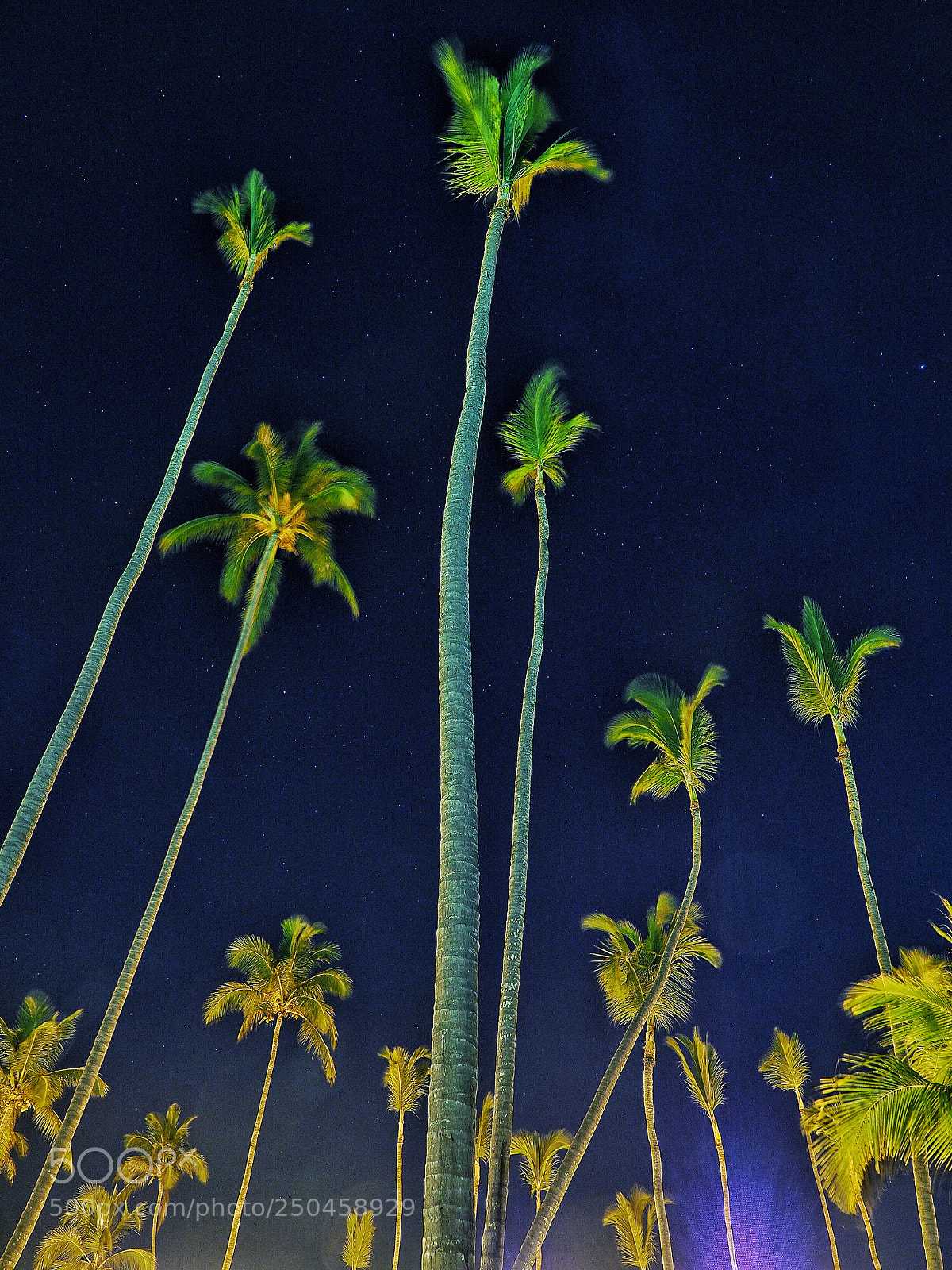 Olympus OM-D E-M1 Mark II sample photo. Starry sky photography