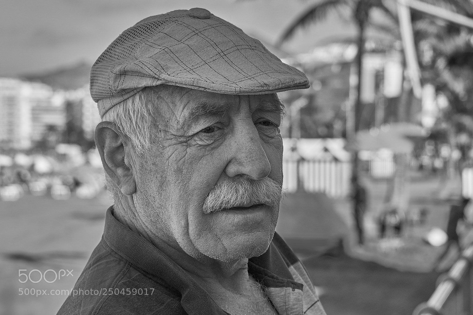 Fujifilm X-T20 sample photo. Old man in a photography