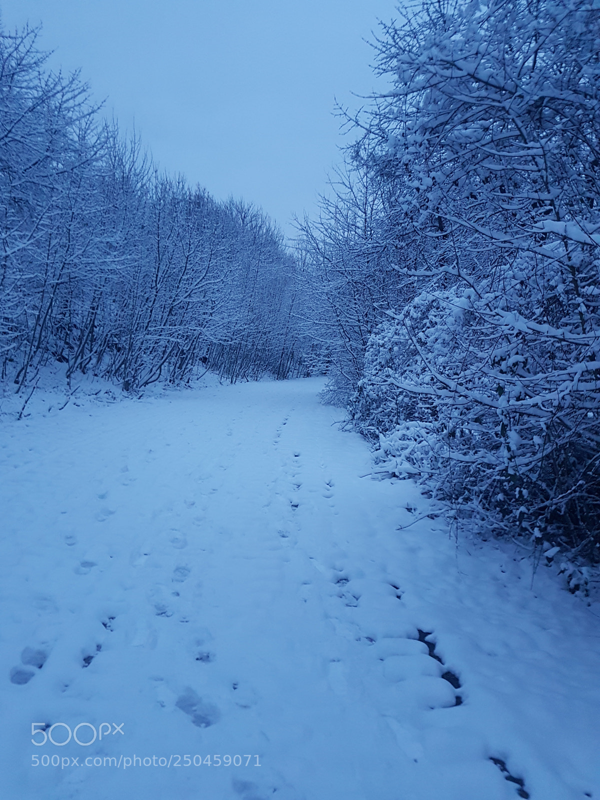 Samsung Galaxy S7 sample photo. Winter is beautiful photography