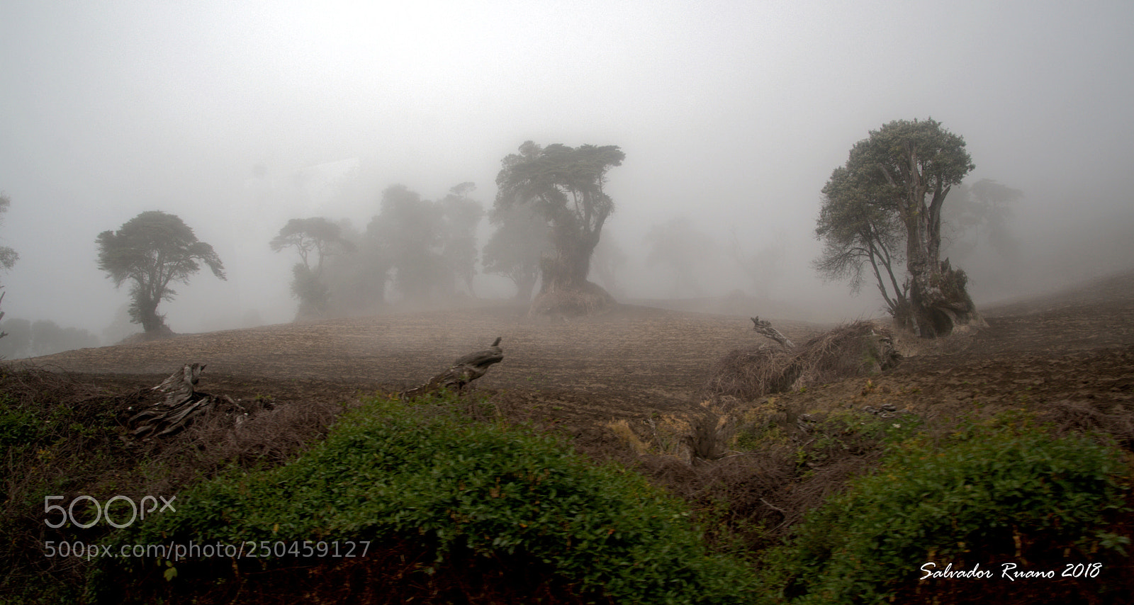 Nikon D7500 sample photo. Volcan irazu costa rica photography