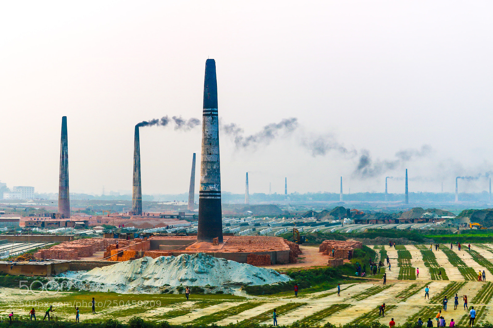 Canon EOS 750D (EOS Rebel T6i / EOS Kiss X8i) sample photo. Pollution versus life photography
