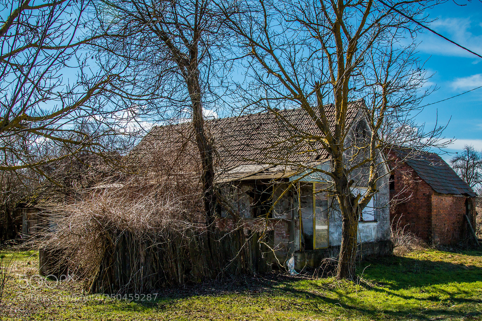 Canon EOS 70D sample photo. Tree house photography